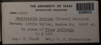 Image Associated With the Occurence